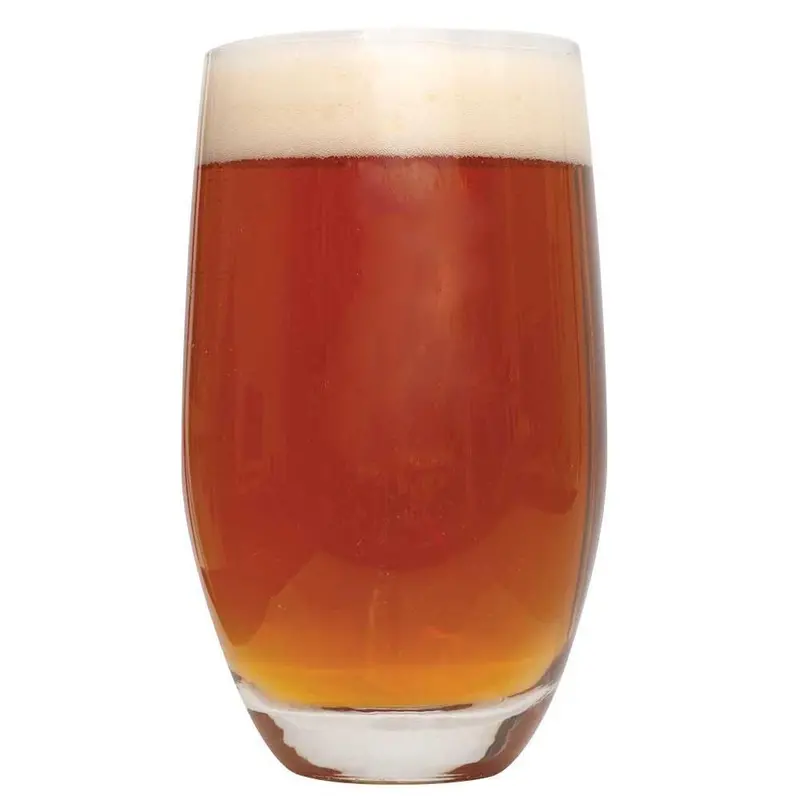 Smashing Pumpkin Ale – All-In-One Extract Beer Recipe Kit 1