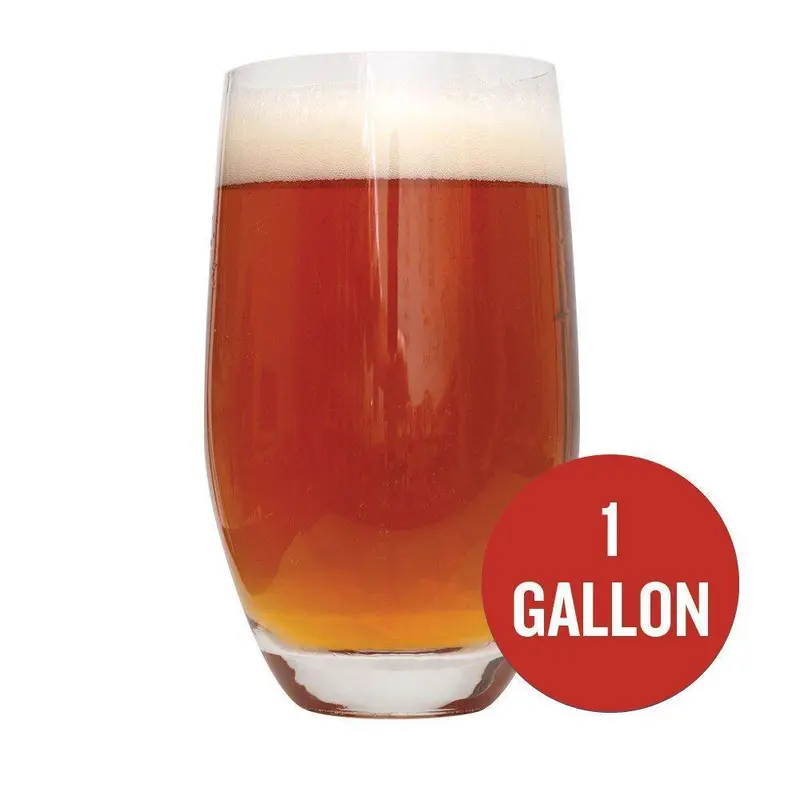 Smashing Pumpkin Ale – Spiced Autumn 1-Gallon Homebrew Kit 1