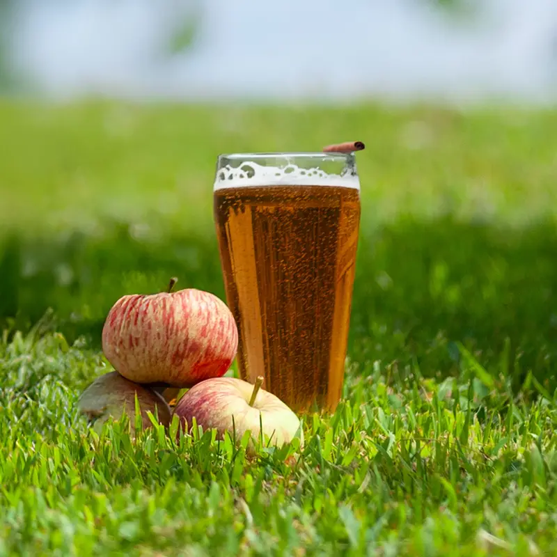 Spiced Apple Ale Extract-Based Beer Recipe Kit 1
