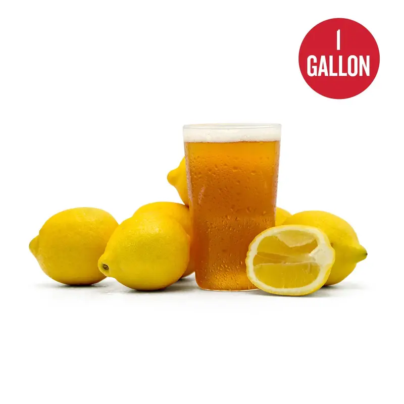 Summer Squeeze Lemon Shandy 1-Gallon Homebrew Recipe Kit 1