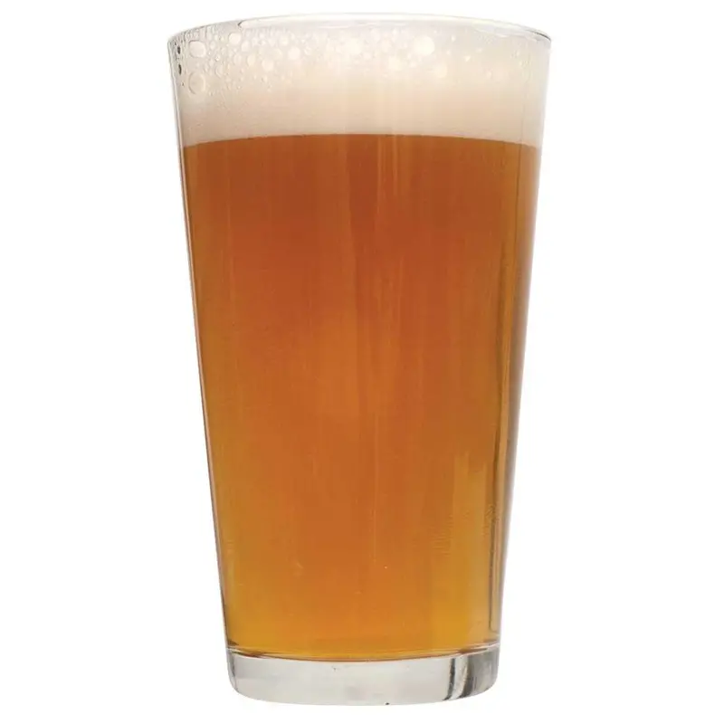 Tangerine Ravine Pale Ale – Citrus-Forward Extract Kit 1