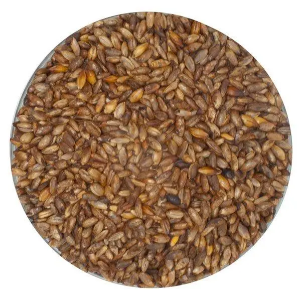 Thomas Fawcett Crystal Rye Malt – Spicy, Caramel-Infused Rye, 55 Lb 1
