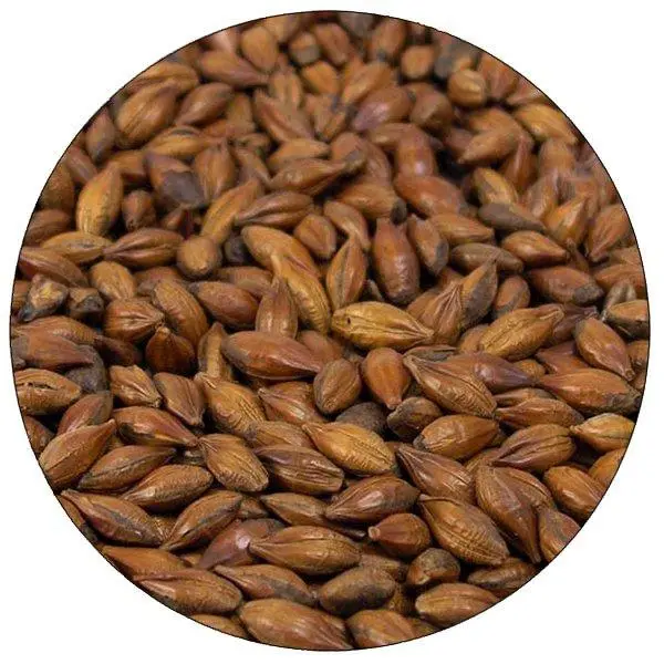 Thomas Fawcett Pale Chocolate Malt – Smooth Roasted Depth, 55 Lb 1