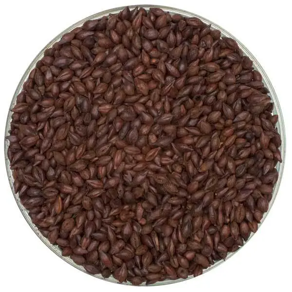 Traditional English Roasted Barley Malt 1
