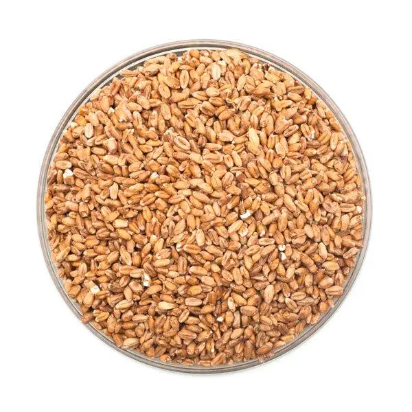 Unmalted Wheat Grain – Rahr Brewing Ingredient 1