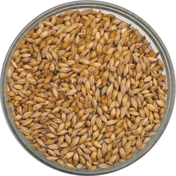 Vienna Malt – Root Shoot Malting (50 Lb Sack) – Premium Base Grain For Amber Lagers 1