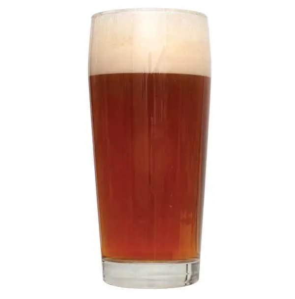 Warm Holiday Red Ale Beer Recipe Kit (Extract) 1