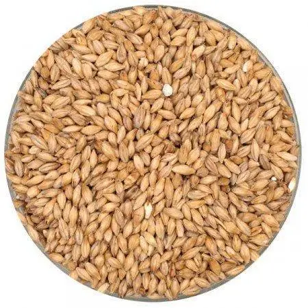 Weyermann® Barke® German Pilsner Malt – Crisp, Clean Base Malt For Lagers 1