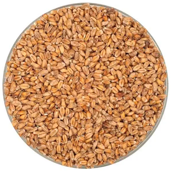 Weyermann Dark Wheat Malt – German Roasted Wheat Grain 1
