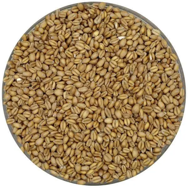 Weyermann Floor-Malted Bohemian Wheat Malt 1