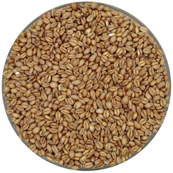 Weyermann Oak-Smoked Wheat Malt – Subtle Oak-Smoked Character, 55 Lb 1