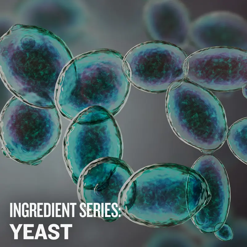 Yeast Fundamentals – Ingredient Series Video Course 1