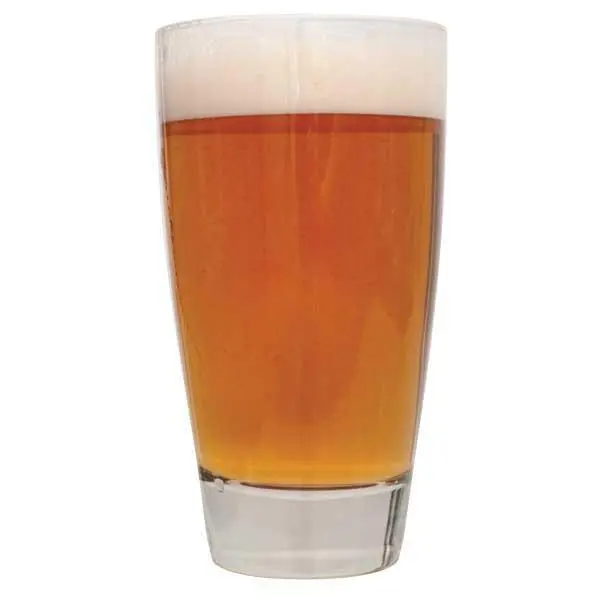 Zombie Dirt Pale Ale – Extract-Based Homebrew Recipe Kit 1
