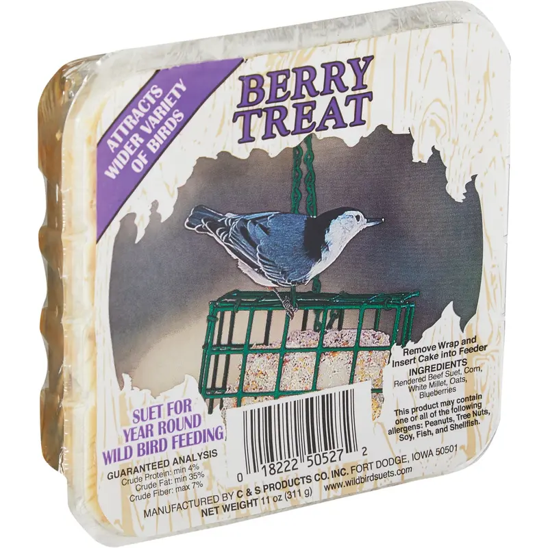 C&S Berry Treat Wild Bird Suet – 11-Ounce Energy Block 1